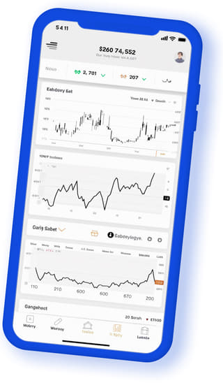 Sterling Vermex digital web application on mobile device
